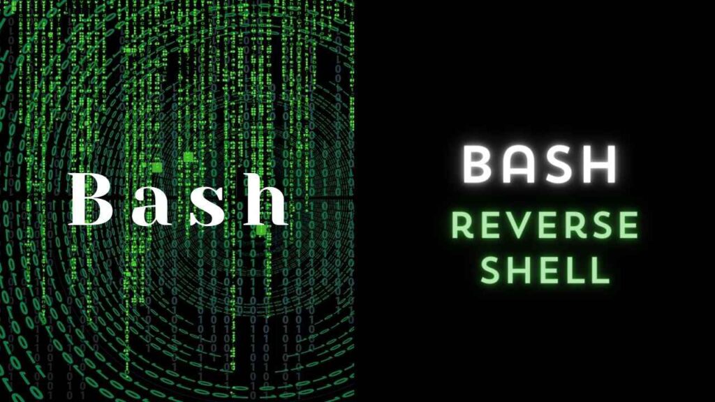 Bash Reverse Shell Explained