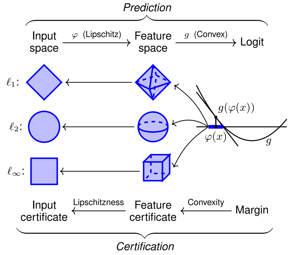 Asymmetric Certified Robustness via Feature-Convex Neural Networks